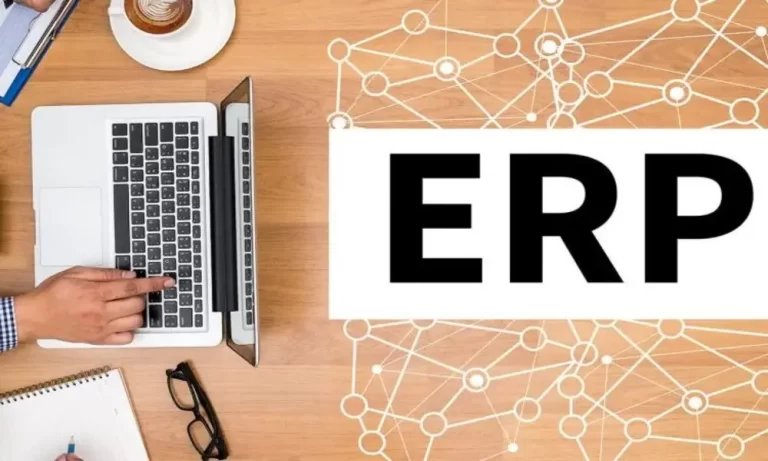 Transparency, Merit, and Accountability: The Advantages of ERP Systems as Major Resisters to Change