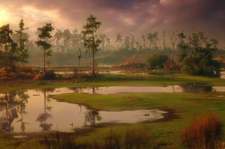 Natural disaster and the future of tourism in Pakistan