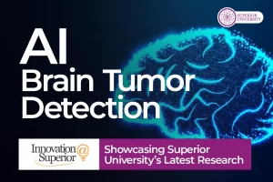 Brain Tumor Diagnosis with Smart Model for Faster Accurate Detection