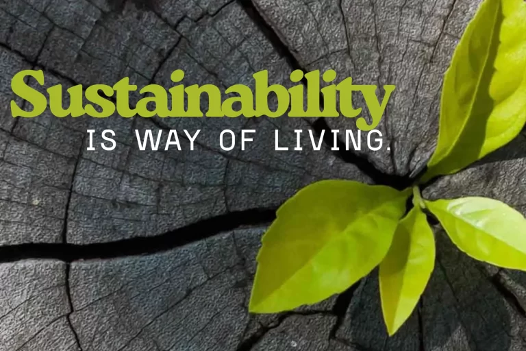 From Consumption to Conservation - The Path of Sustainable Entrepreneurship