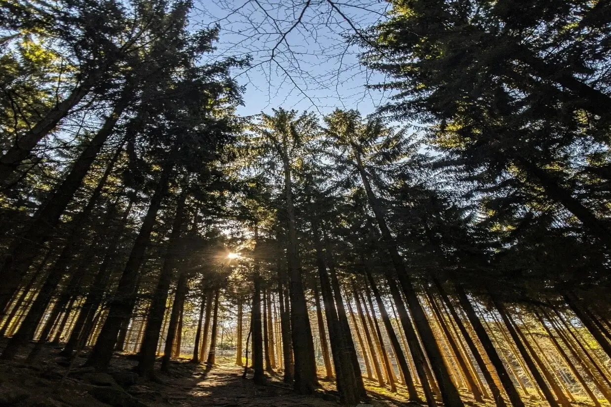 Environmental Hassles in Pakistan: A Growing Threat to Health and Economy