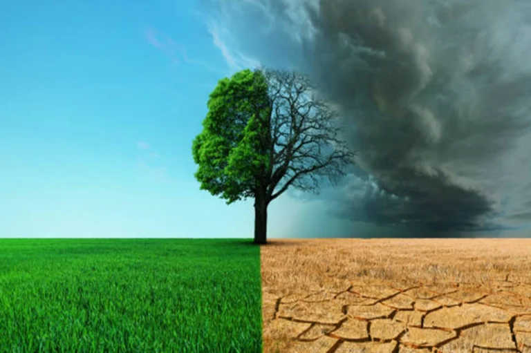 AI-Powered Early Warning Systems - Pakistan’s Most Urgent Digital Climate Solution