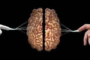 The Power of AI in Business Innovation