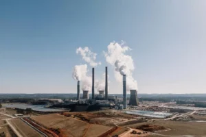 When Forests Collapse, the Planet Warms