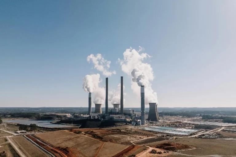 When Forests Collapse, the Planet Warms