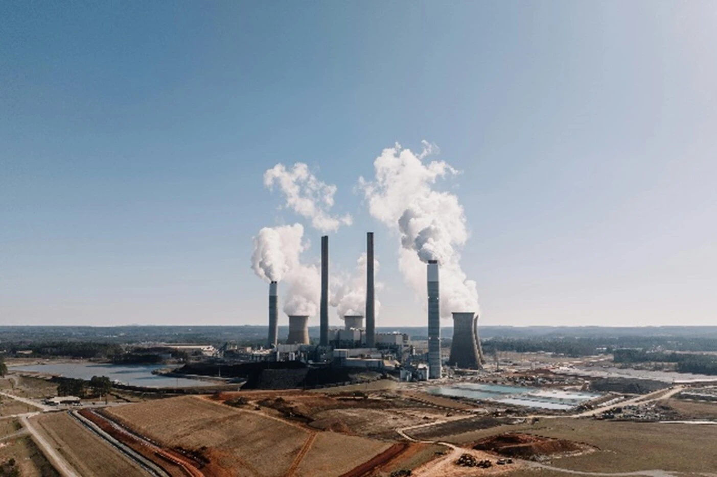 When Forests Collapse, the Planet Warms