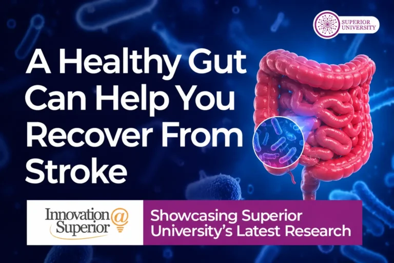 A Healthy Gut Can Help You Recover From Stroke